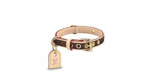 Les collections de Louis Vuitton : Collier pour chien PM